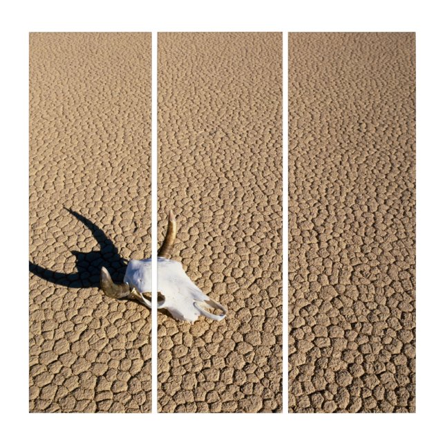 Deserts | Cow Skull on the Desert Ground Triptych (Front)