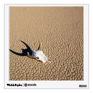 Deserts   Cow Skull on the Desert Ground Wall Decal