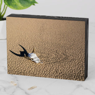 Deserts Cow Skull on the Desert Ground Wooden Box Sign