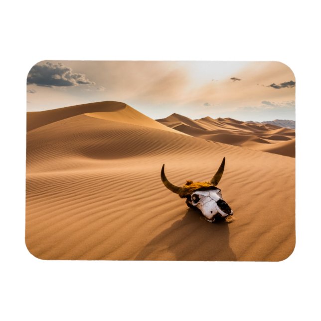 Deserts | Cow Skull Rippled Sand Dunes Magnet (Horizontal)