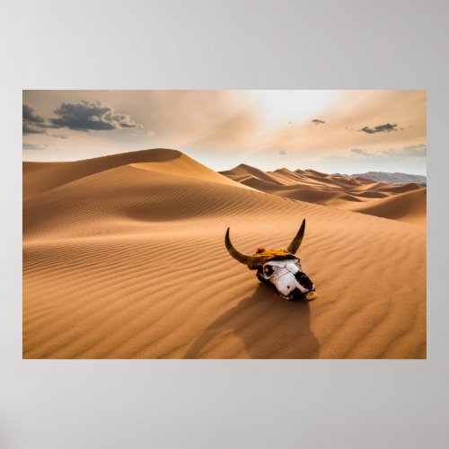 Deserts  Cow Skull Rippled Sand Dunes Poster