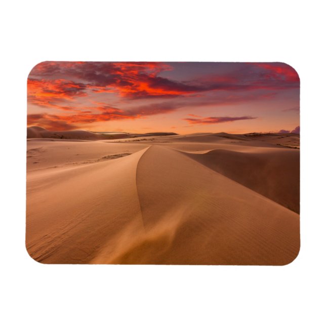 Deserts | Desert United Arab Emirates Magnet (Horizontal)