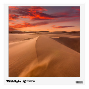 Deserts Desert United Arab Emirates Wall Decal