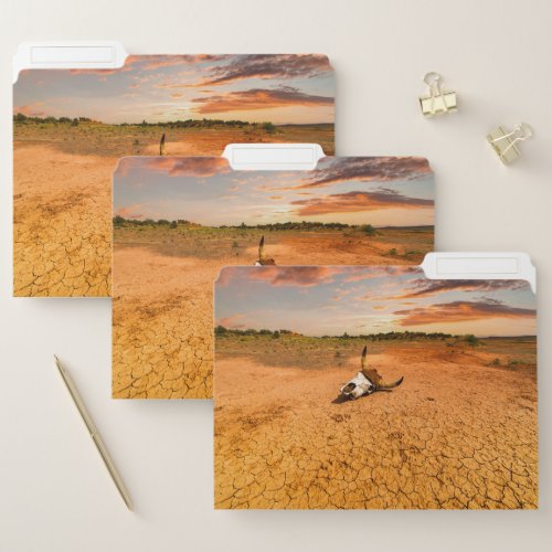 Deserts  Desert with Cow Skull File Folder