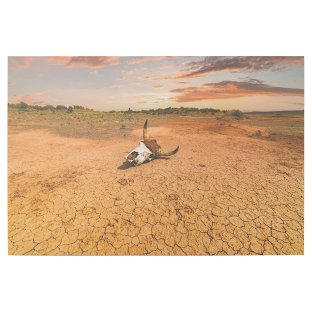 Deserts | Desert with Cow Skull Gallery Wrap (Front)