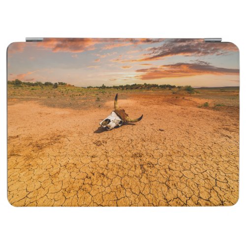 Deserts  Desert with Cow Skull iPad Air Cover