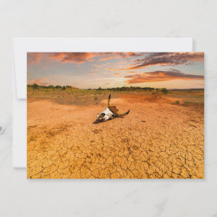Deserts   Desert with Cow Skull Thank You Card