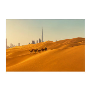 Deserts Dubai's Skyline View with Camels Acrylic Print