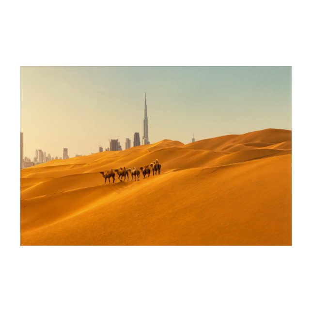 Deserts | Dubai's Skyline View with Camels Acrylic Print (Front)