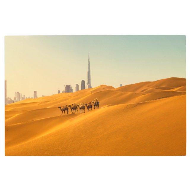 Deserts | Dubai's Skyline View with Camels Metal Print (Front)