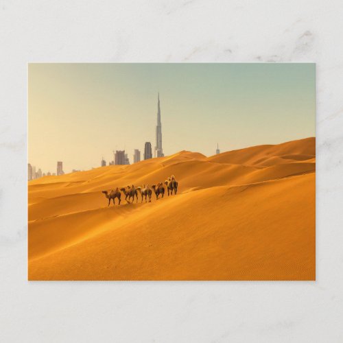 Deserts  Dubais Skyline View with Camels Postcard