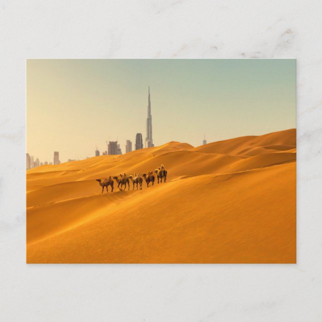 Deserts | Dubai's Skyline View with Camels Postcard (Front)