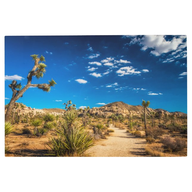 Deserts | Joshua Tree National Park Metal Print (Front)