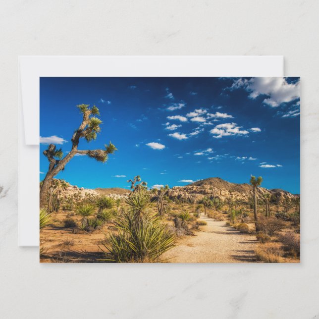 Deserts | Joshua Tree National Park Thank You Card (Front)