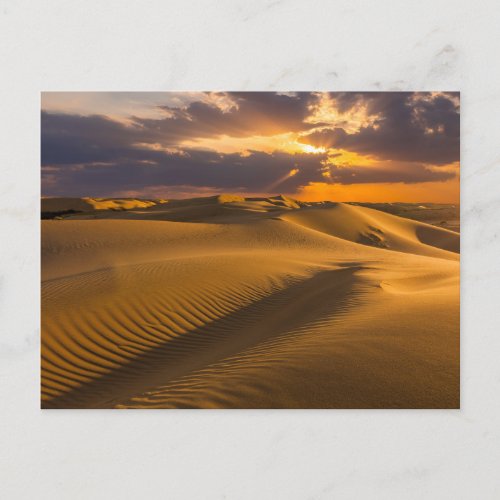 Deserts  Landscape of Sand Dunes Postcard