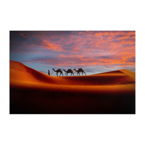 Deserts  Man  Camels in the Sand Dunes Acrylic Print
