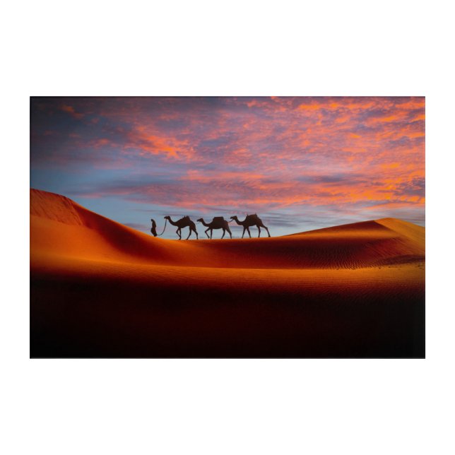 Deserts | Man & Camels in the Sand Dunes Acrylic Print (Front)