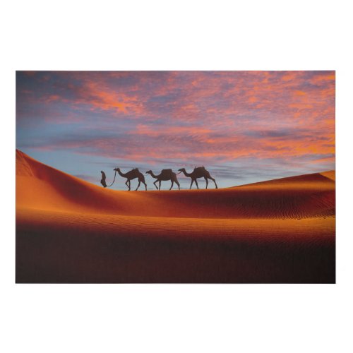 Deserts  Man  Camels in the Sand Dunes Faux Canvas Print