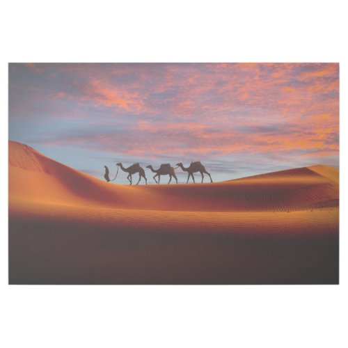 Deserts  Man  Camels in the Sand Dunes Gallery Wrap