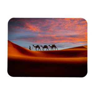 Deserts Man & Camels in the Sand Dunes Magnet