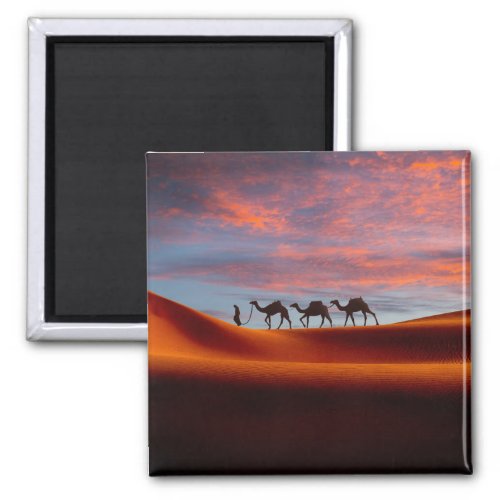 Deserts  Man  Camels in the Sand Dunes Magnet