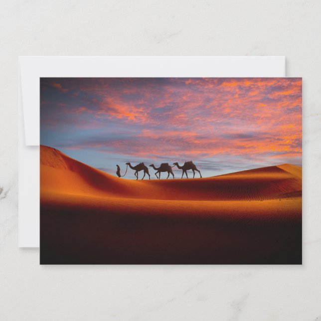 Deserts | Man & Camels in the Sand Dunes Thank You Card (Front)