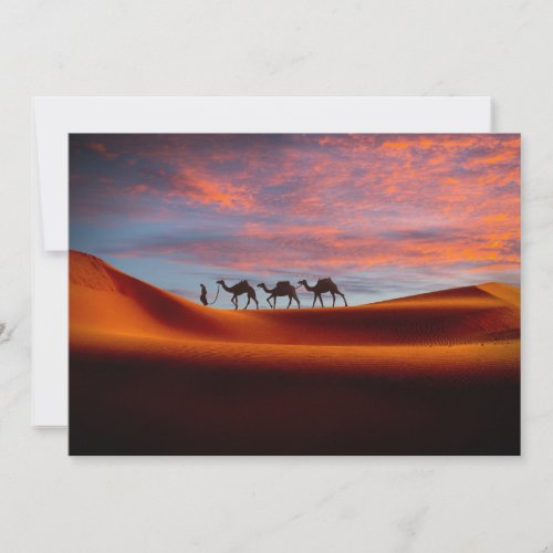 Deserts  Man  Camels in the Sand Dunes Thank You Card