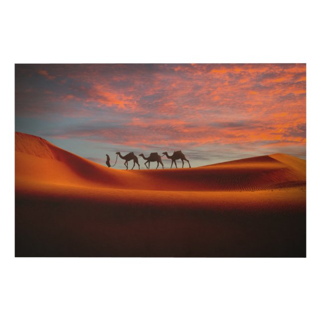 Deserts | Man & Camels in the Sand Dunes Wood Wall Art (Front)