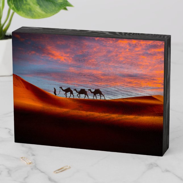 Deserts | Man & Camels in the Sand Dunes Wooden Box Sign (In Situ Horizontal)