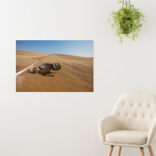 Deserts Namaqua Chameleon in Desert Foam Board