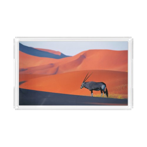 Deserts  Namib Desert Oryx Acrylic Tray