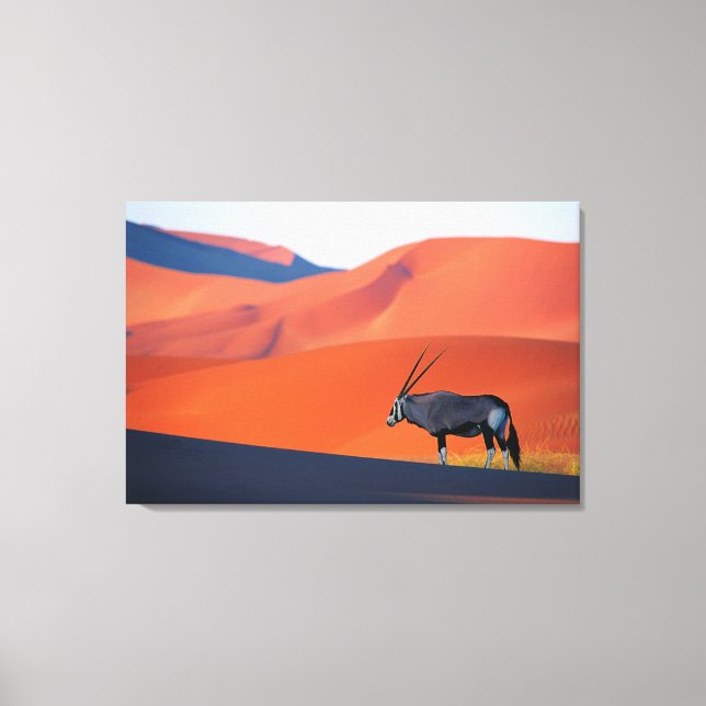 Deserts | Namib Desert Oryx Canvas Print (Front)