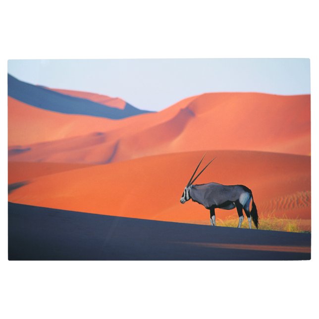 Deserts | Namib Desert Oryx Metal Print (Front)