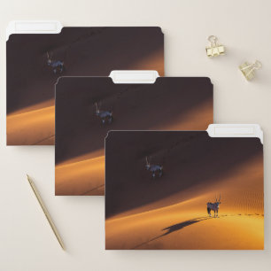Deserts   Namib Naukluft National Park Kenya File Folder