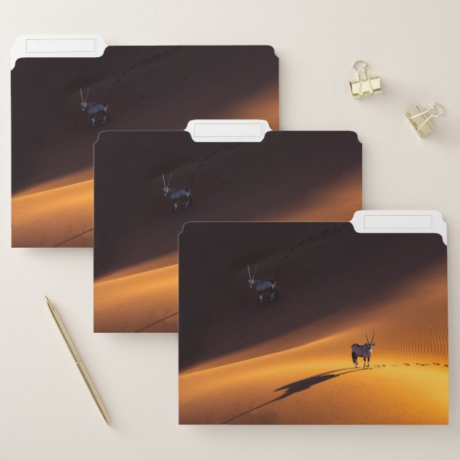 Deserts | Namib Naukluft National Park Kenya File Folder (Set)