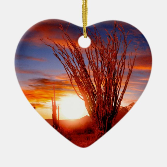 Deserts Ocotillo Sonora Arizona Ceramic Ornament (Front)