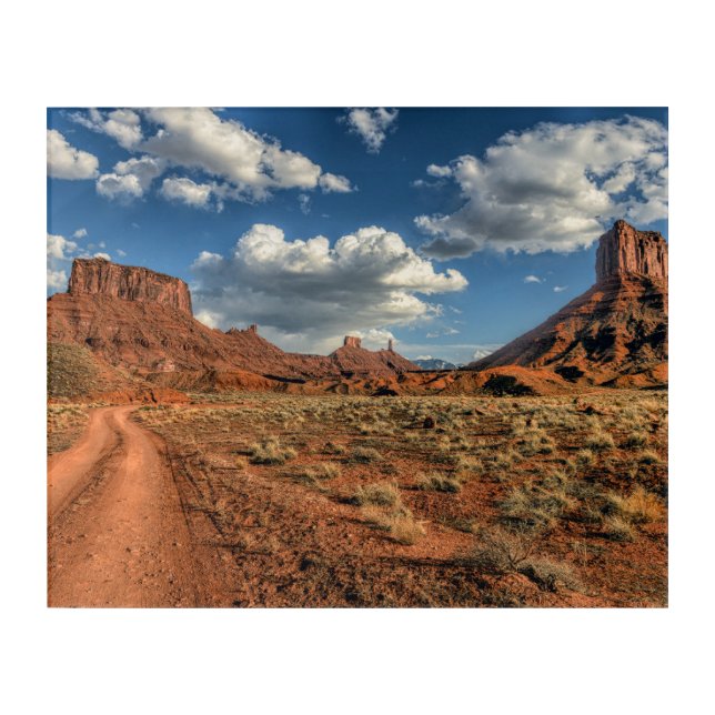 Deserts | Professor Valley Near Moab, Utah Acrylic Print (Front)