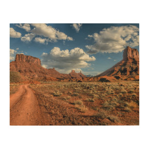 Deserts   Professor Valley Near Moab, Utah Wood Wall Art