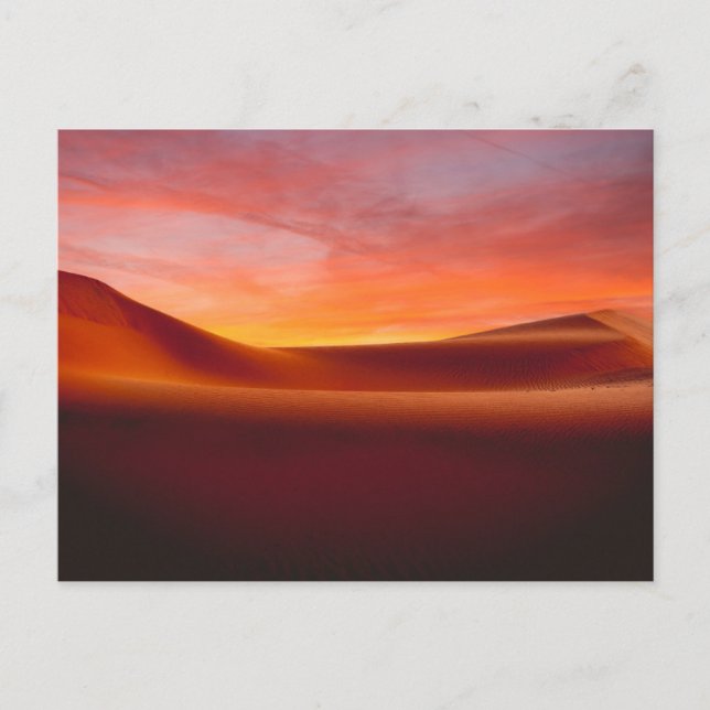 Deserts | Rolling Desert Landscape Postcard (Front)