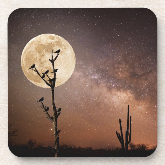 Deserts | Saguaro Cactus With Birds in Desert Beverage Coaster (Front)