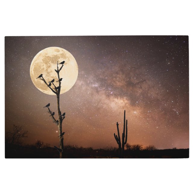 Deserts | Saguaro Cactus With Birds in Desert Metal Print (Front)