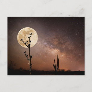 Deserts Saguaro Cactus With Birds in Desert Postcard