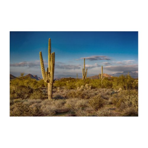 Deserts  Superstition Mountains Arizona Acrylic Print