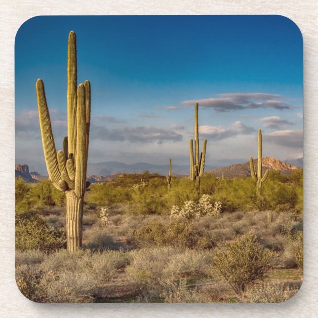 Deserts | Superstition Mountains, Arizona Beverage Coaster (Front)