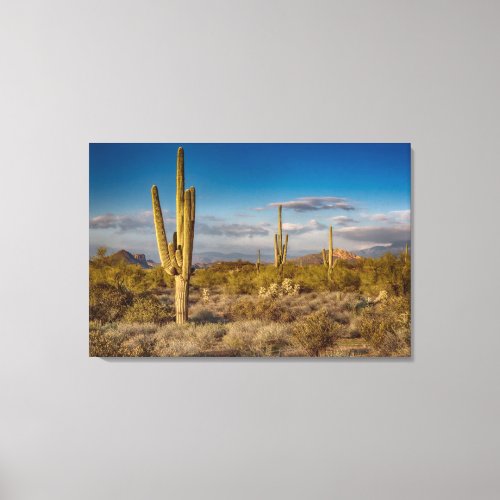 Deserts  Superstition Mountains Arizona Canvas Print