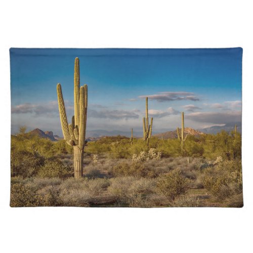 Deserts  Superstition Mountains Arizona Cloth Placemat