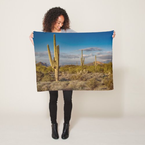 Deserts  Superstition Mountains Arizona Fleece Blanket