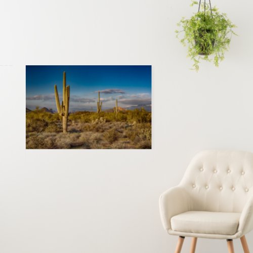 Deserts  Superstition Mountains Arizona Foam Board