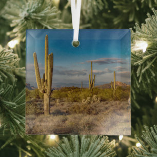 Deserts Superstition Mountains, Arizona Glass Ornament