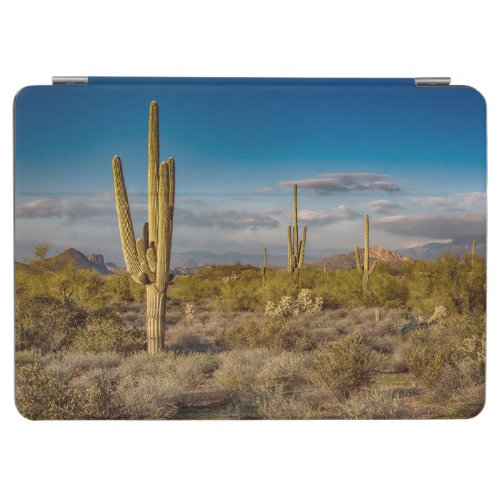 Deserts  Superstition Mountains Arizona iPad Air Cover